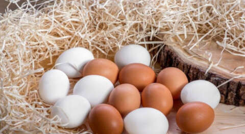 Yumurtaya talep yüzde yüz arttı
