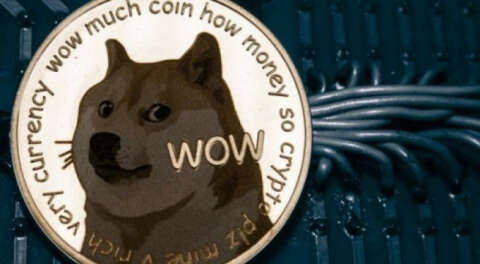 Dogecoin'in toplam piyasa değeri 20'ye katlandı!