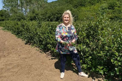 Kızılderililerin şifalı meyvesini Bursa'dan dünyaya satıyor