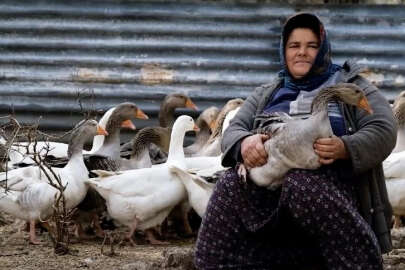 Mersin'in kazları tüketicilerle buluşacak