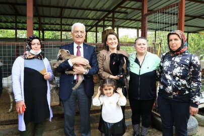 Üniversite mezunu kadınlar hayvancılığa başladı