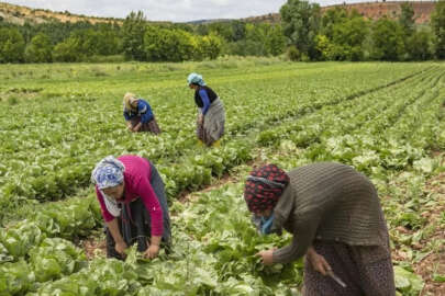Eğitimli yerel üretici kadınların ürünlerini satışta