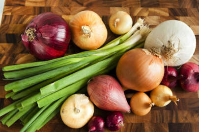 Soğan fiyatı tarlada 4 liraya geriledi