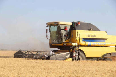 Depremin vurduğu Hatay Amik Ovası'nda buğday hasadı başladı