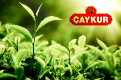 Çaykur satın almaya devam ediyor