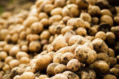 Patatesin kilogram fiyatı 9-11 lira arasında satılıyor