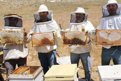 Araştırma enstitüsü, Torosların eteklerinde 2,5 ton bal üretti