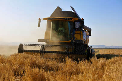 Konya Ovası'ndaki buğday hasadında 2 milyon 400 bin rekolte