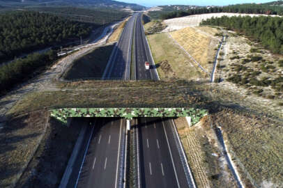 Bakan Uraloğlu: Ekolojik köprü sayısını artıracağız