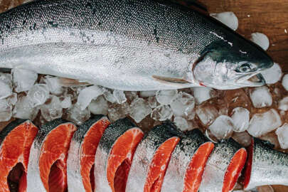 Doğu Karadeniz'den 91,4 milyon dolarlık somon ihracatı