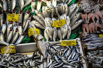 Tezgahlarda balık bolluğu: 'Fiyatlar yarı yarıya düştü'