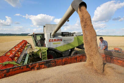 Türkiye'nin buğday üretimi 21,5 milyon tona ulaştı