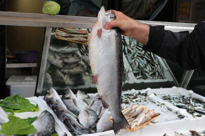 Trabzon'un somon ihracatı 5 yılda yüzde 968 arttı