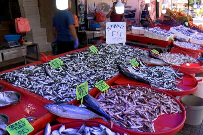 Hamsi fiyatı 120 liradan 80 liraya düştü