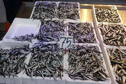 Tezgahlarda hamsi arttı ama ihracat yapılamadı