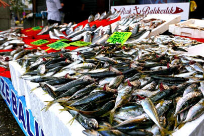 'Anlaşarak avlanmaya çıkmamak rekabet kanununa aykırı'