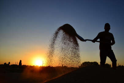 Yöresel hayvancılık projelerine hibe desteği