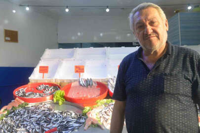 Hamsi bolluğu fiyatları düşürdü