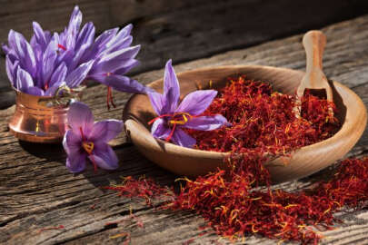 Dünyanın en pahalı baharatı Fiyatı dudak uçuklatı !