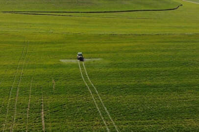 Tarım ÜFE ekimde aylık yüzde 1,13 azalırken yıllık yüzde 62,56 arttı
