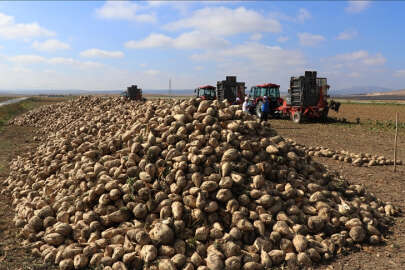 Şeker pancarıyla 2,5 milyar TL'lik katkı