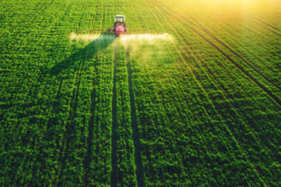 Organik tarım yapan üreticiler desteklenecek