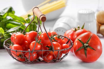 AYAŞ DOMATESİ AB TESCİLİ ALDI