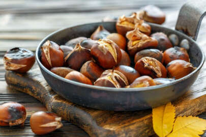 Kalitesi yüksek ancak Kestanede verim az!