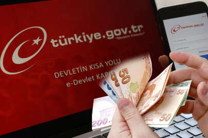 e-Devlet hesabınızı kontrol edin! Birikmiş paranız olabilir!