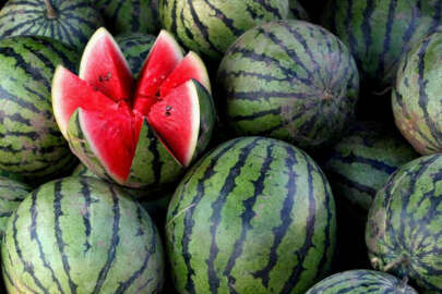 Yılın ilk karpuzu tezgahta!