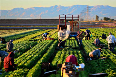 Üreticilere 7 ayda 3 milyar liranın üzerinde hasar tazminatı ödendi