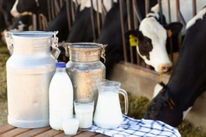 Toplanan inek sütü miktarı haziranda yıllık yüzde 6,4 arttı