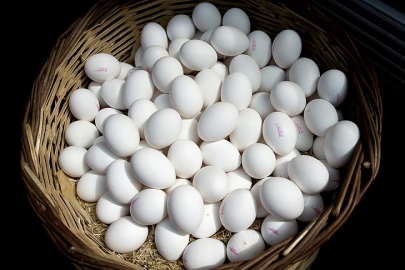 Yumurtaya talep azaldı, fiyatlar inişe geçti.