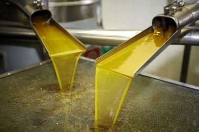 Bakanlık 8 zeytinyağı markasını ifşa etti!