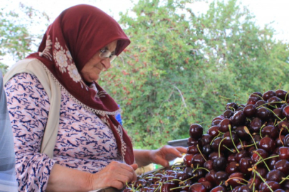 Meyve sebze ihracatçısı ürün eksikliği ve dövizle boğuşuyor...