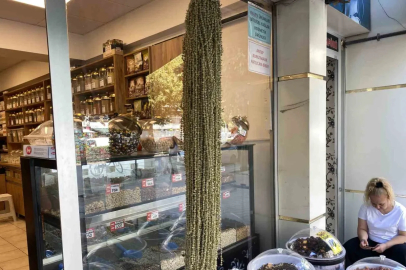 Kurutulmuş çiçek bamyanın altınla yarışan fiyatı düştü.