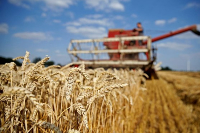 Dünya tahıl üretim tahminlerinde keskin artış.