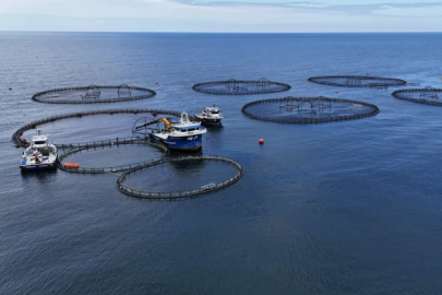 Su ürünlerinde üretim planlamasında olan tür sayısı 16'ya çıktı.