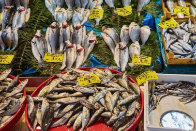 Yeni sezon Eskişehir balık pazarını canlandırdı.