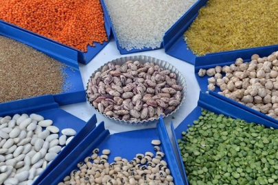 Güneydoğu'da hububat sektörü 2,3 milyar dolarlık ihracat gerçekleştirdi.