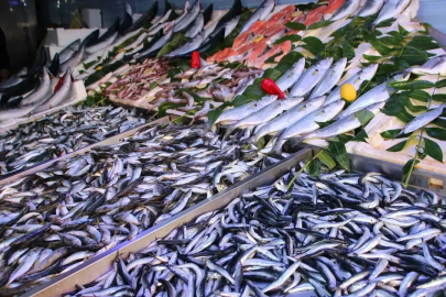 Hamside bu yıl yüzler gülüyor!