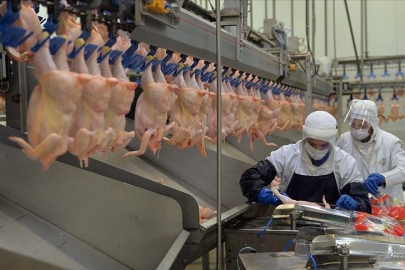 Tavuk eti üretimi arttı.