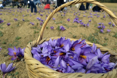 Yeni fiyatı belli olacak! Kilosu 450 bin TL: