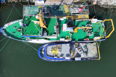 Ege Denizi'nde iklim değişikliğinin izlerini Koca Piri Reis gemisiyle sürüyorlar...