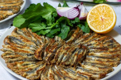 Hamsi stoklarında tehlikeli düşüş!