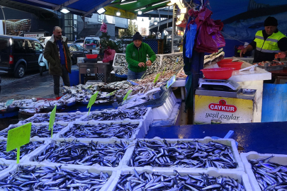Karadeniz'de hamsi stokları alarm veriyor...