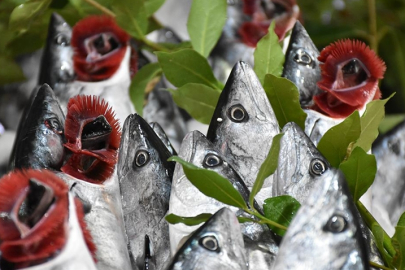 Muğla'dan 9 ayda 545 milyon dolarlık balık ihracatı yapıldı.