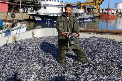 Ege'de sardalya bolluğu balıkçıları sevindirdi