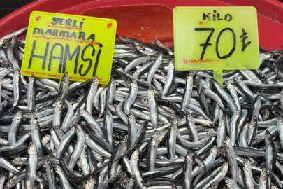 Hamsinin kilosu 70 liraya düştü.