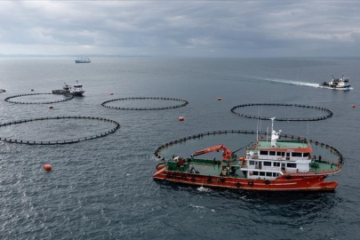 Karadeniz'den 31 ülkeye 278,7 milyon dolarlık su ürünü ihracatı.